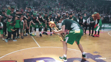 BCZalgirisKaunas win team zalgiris lkl GIF