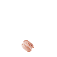 confiserie_spruengli macaron confiserie luxemburgerli sprüngli Sticker