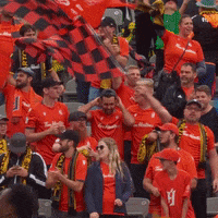 OneSoccer happy football soccer celebration GIF
