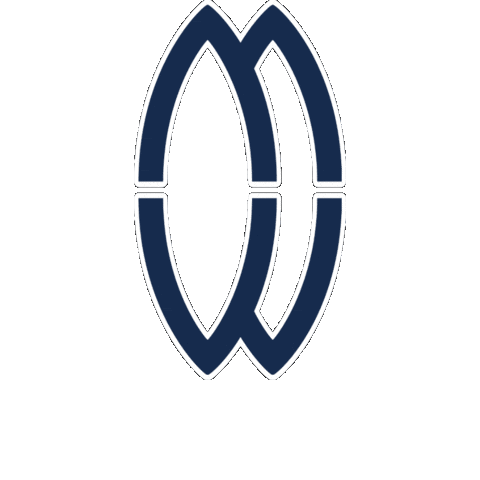 emeraldwarriorsrfc giphygifmaker rugby navy rugby ball Sticker