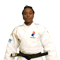 Respect Presentation Sticker by France Judo