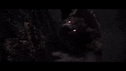 Horror Werewolf GIF by Magic: The Gathering
