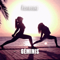 Flexibilidad Géminis