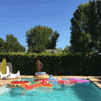 GIF by GIPHY CAM