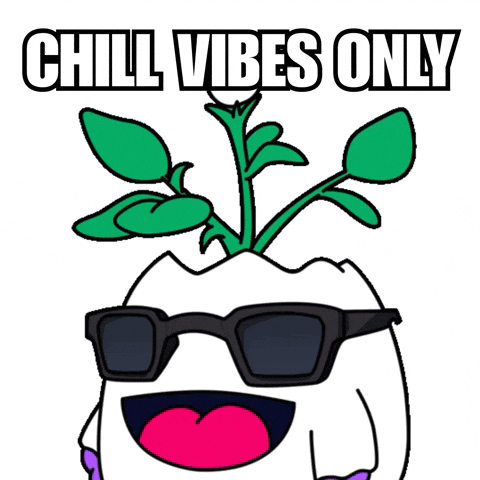 Good Vibes Deal With It GIF by Magic Eden