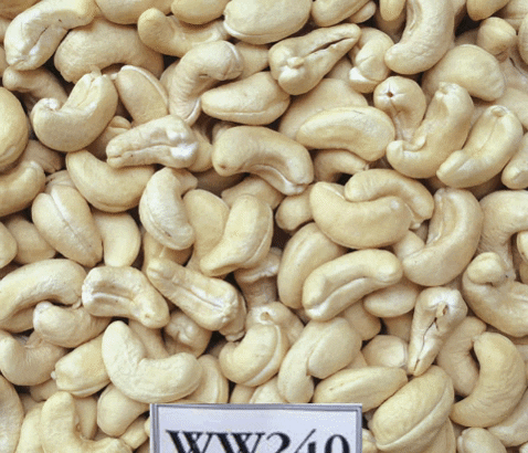 kimmyfarmvietnam giphygifmaker cashew cashew nuts kimmyfarm GIF