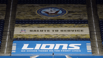 Salute To Service GIF by Detroit Lions