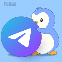 Social Media Penguin GIF by Pudgy Penguins