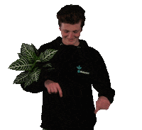 Richplant wijzen planten naaldwijk decorum Sticker