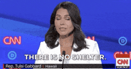 Tulsi Gabbard Dnc Debates 2019 GIF by GIPHY News