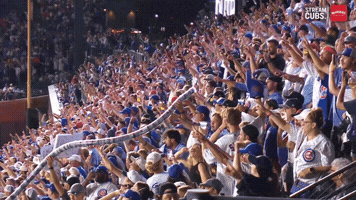 Chicago Cubs Baseball GIF