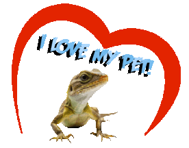 Guinea Pig Love Sticker