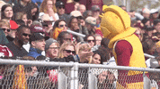 gannonu homecoming golden knights gannon gannon university GIF