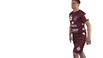 Sport Bundesliga Sticker by 1. VFL Potsdam