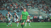 Football Soccer GIF by Sporting CP