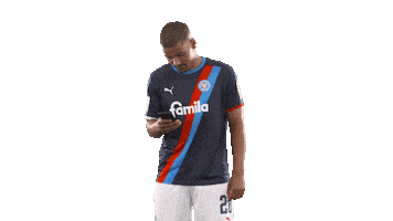 Do Not Disturb Football Sticker by Holstein Kiel