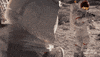 Outer Space Smile GIF by Apple TV+