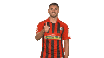 Sc Freiburg Football Sticker by Bundesliga