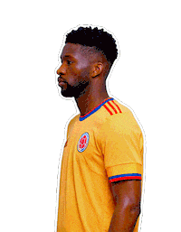 Copa America Football Sticker by Caracol Television