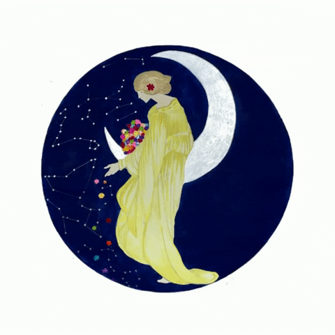 MoonshadowFest giphygifmaker moonshadow moonshadowfest moonshadowfestival GIF