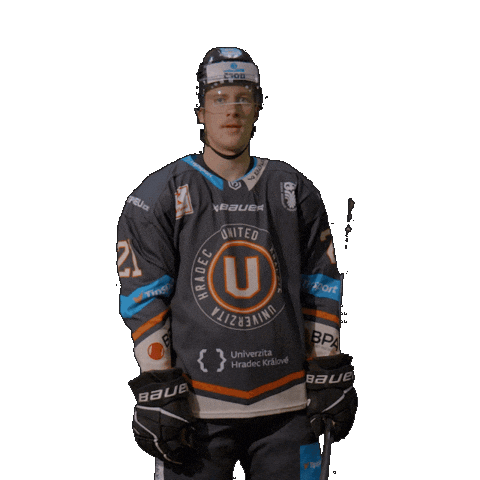 Uhk Sticker by UNIted HK