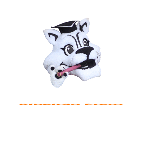 Festa Vivaeventos Sticker by Ticomia Formaturas