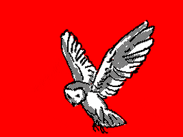 infinitelivez giphyupload giphystrobetesting GIF