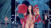 vsfs 2017 GIF by Victoria's Secret Fashion Show