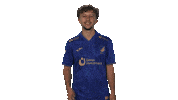 Tsg Hoffenheim Vbl Sticker by Bundesliga