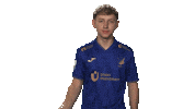 Tsg Hoffenheim Hello Sticker by Bundesliga