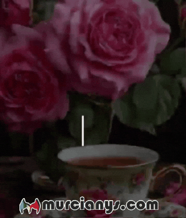 Amigos Saludos GIF by Murcianys LLC