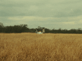 Midsommar GIF by Bartees Strange