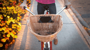 GIF by by The Barkers