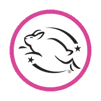 Rabbit Hop Sticker by Peach_Slices