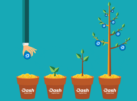 Money Grow GIF by Dash Digital Cash