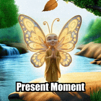 Buddhafly Character GIF by BuddhaFlyJourney