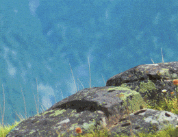 Peek A Boo What GIF by ENSI