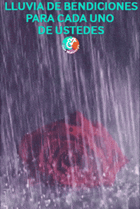 Rosa Agua GIF by Murcianys LLC