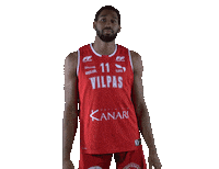 Basket_fi sports basketball hoops vikings Sticker