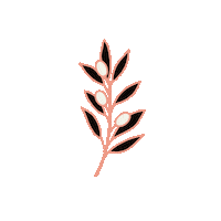 stalbott leaf branch leafy olive branch Sticker