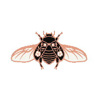 stalbott flying bug insect beetle Sticker