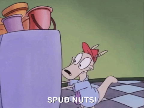 rockos modern life nicksplat GIF