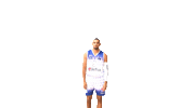 Embl Sticker by EuroMillions Basketball