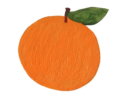 jananareally giphyupload orange fruit tropical Sticker