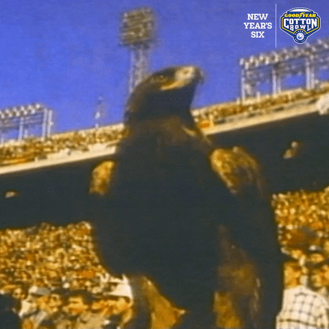 Say It Again I See You GIF by Goodyear Cotton Bowl Classic