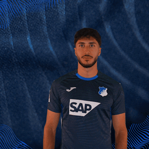 Sport Bundesliga GIF by TSG Hoffenheim