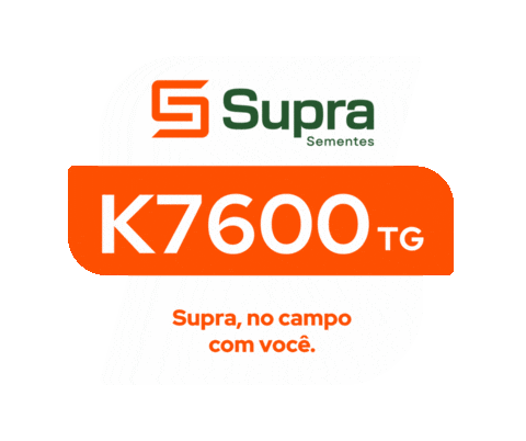 Milho Supra Sticker by Supra Sementes
