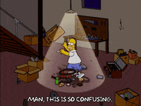 homer simpson build GIF