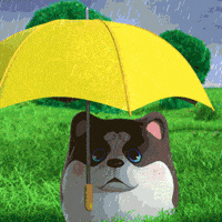 Shocked French Bulldog GIF by UpStudiosWorld