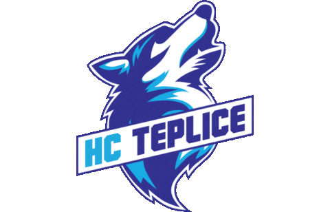 HokejTeplice giphyupload hokej huskies teplice Sticker
